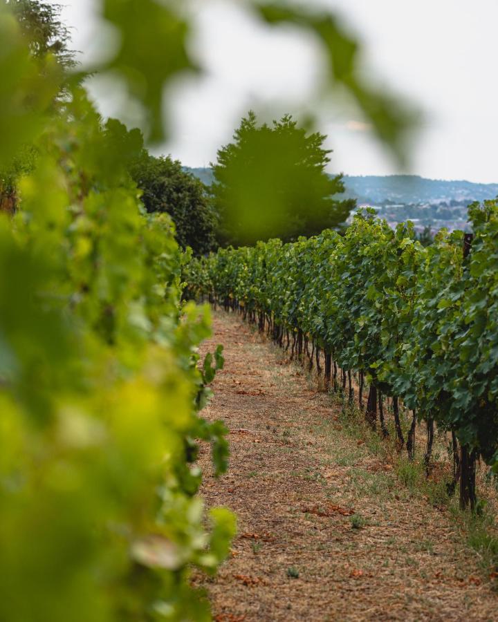 Tenuta Ronco Regio San Fermo della Battaglia Kültér fotó